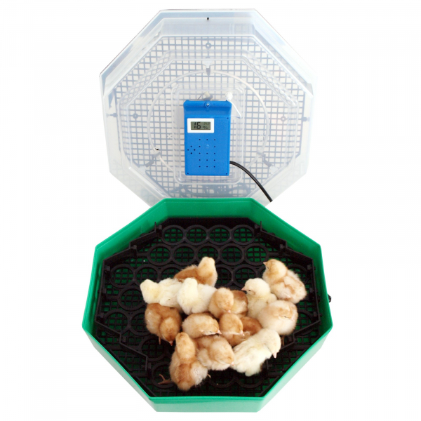 Incubator electric pentru oua cu dispozitiv de intoarcere, termometru si termohigrometru, Cleo, model 5DTH [2]