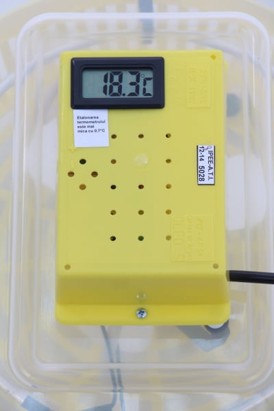 Incubator electric pentru oua cu termometru, Cleo, model 5T [5]
