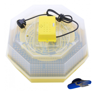 Incubator electric pentru oua, Cleo, model 5 [0]