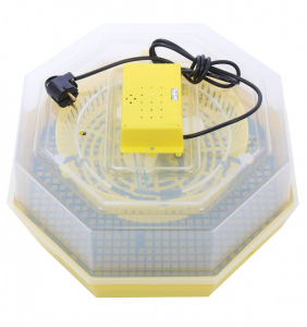 Incubator electric pentru oua, Cleo, model 5 [1]