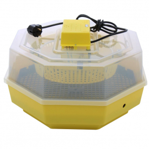 Incubator electric pentru oua, Cleo, model 5 [2]