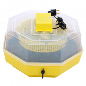 Incubator electric pentru oua cu dispozitiv intoarcere, Cleo, model 5D [0]