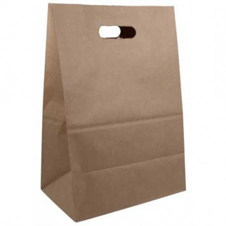 PAPER BAGS WITH HANDLE - Natural KRAFT paper bags