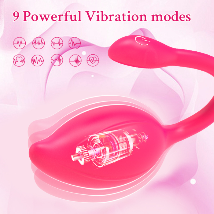 Vibrator cu aplicatie mobila, GABOS, 10 moduri de vibratii, silicon medical, reincarcabil USB, rezistent la apa, jucarie sexuala, cu masca dantelata, panglica satinata de ochi, lenjerie din plasa elas [2]