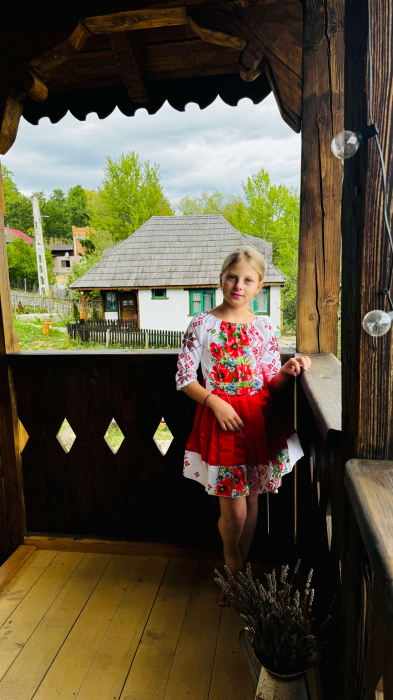 Rochita traditionala stilizata cu Maci 14 [2]