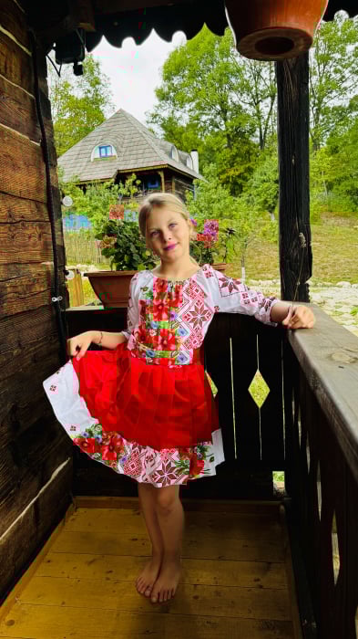 Rochita traditionala stilizata cu Maci 14 [6]
