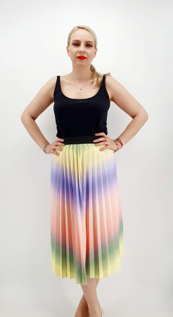 Fusta plisata multicolor 3 [1]