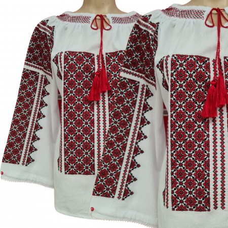 Ii - Ie Traditionala Pemota nr 168