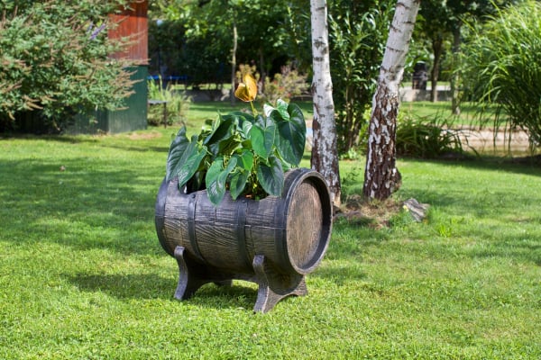 Ghiveci PE rustic, rotund, imitație butoiaș, model SALSA M [3]