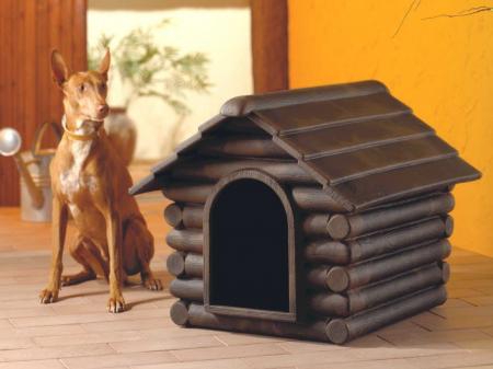 Casuta animale Buddy RIFUGIO XL [3]