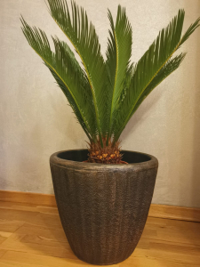 Ghiveci PE vintage, rotund, model TWIST Rotund, Ø39 cm, 25 litri [1]