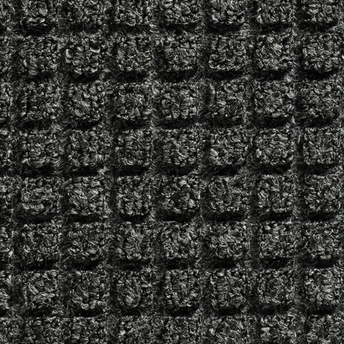 covoras intrare Guzzler interior [6]