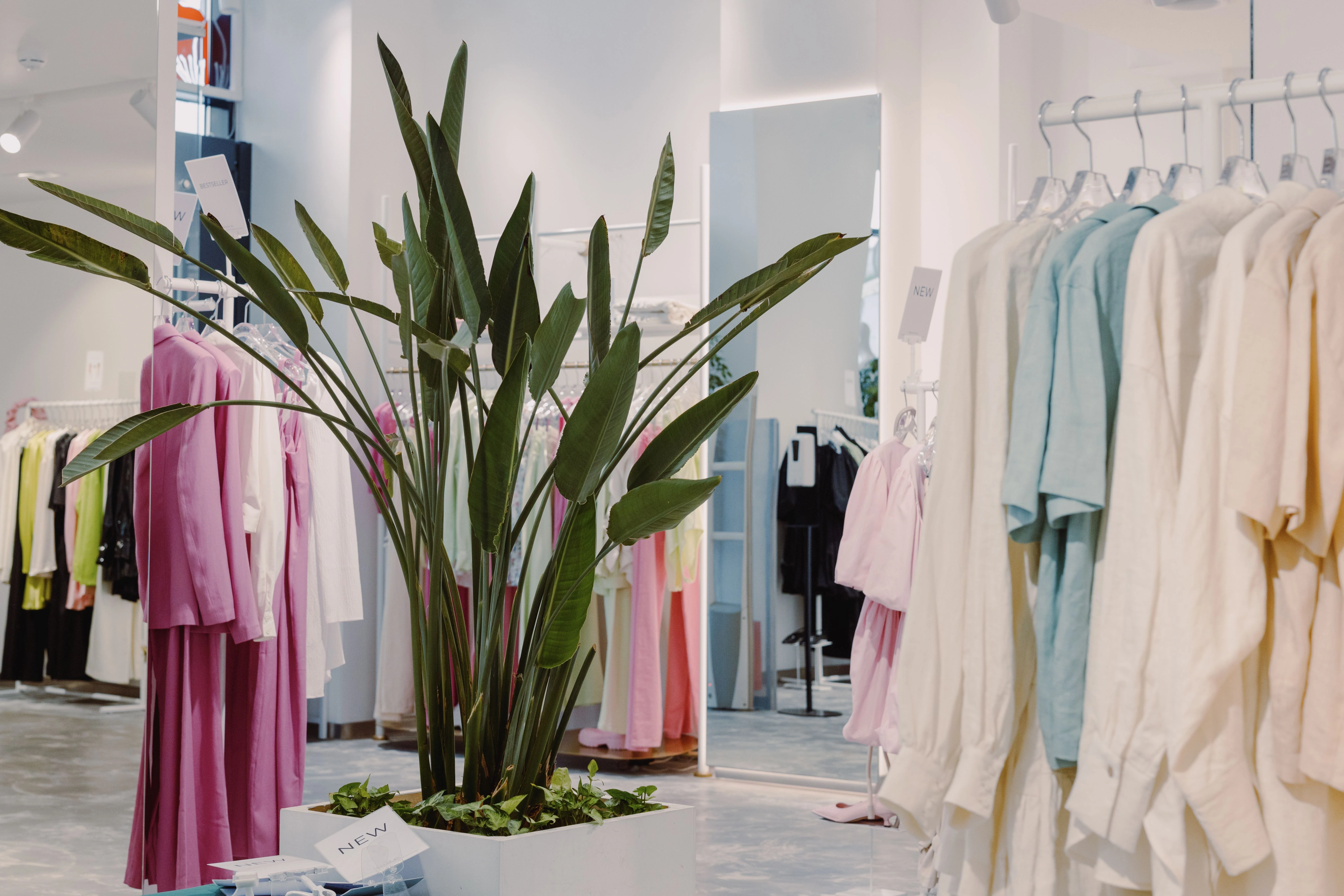 Scent Marketing: Create a Unique Olfactory Signature for Your Store