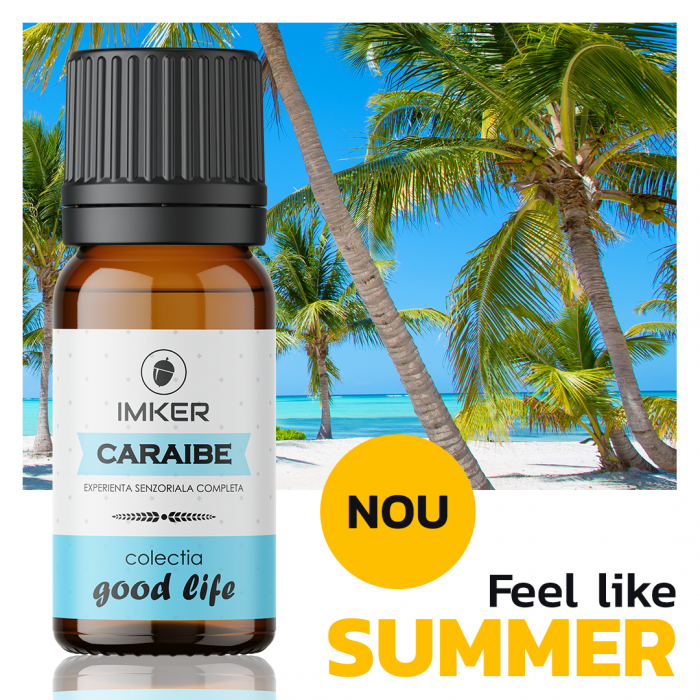 parfum_camera_auto_CARAIBE [2]