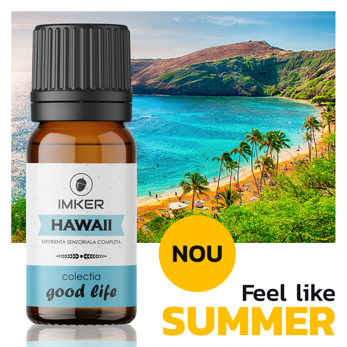 parfum_camera_auto_HAWAII [3]