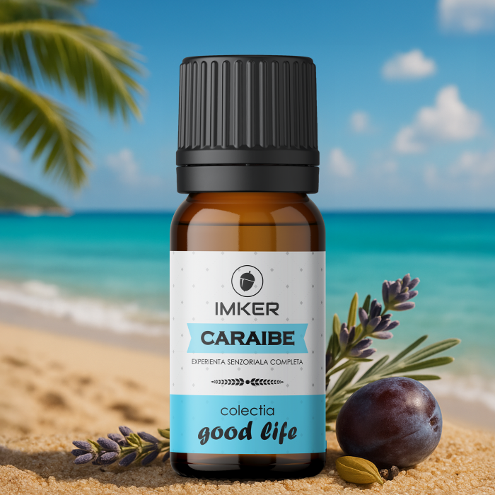 parfum_camera_auto_CARAIBE [3]