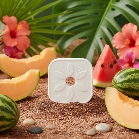 Rezervă Odorizant Solid Polimeric – 60 Zile Prospețime | Tropical Melon Escape [1]