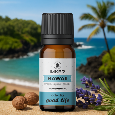 Reduceri OUTLET -50% - parfum_camera_auto_HAWAII