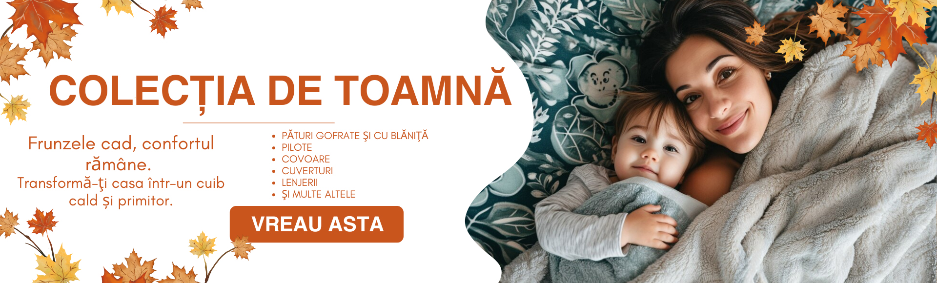 Toamna 2024