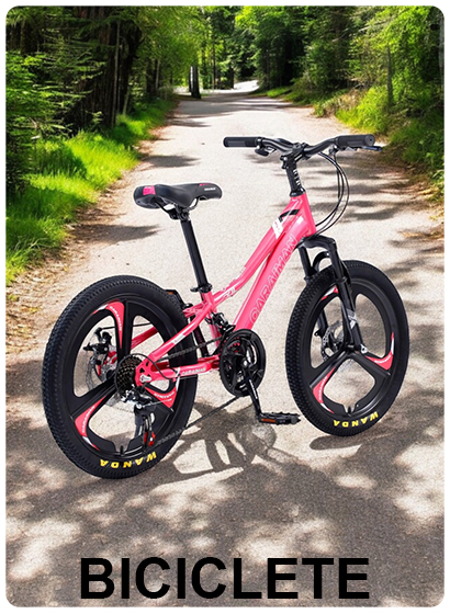 Biciclete