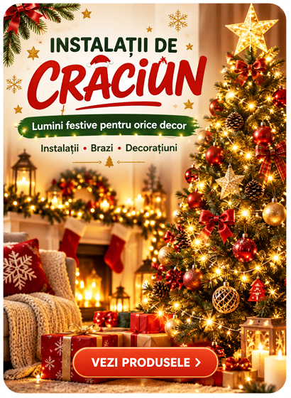 Instalatii Craciun 2026