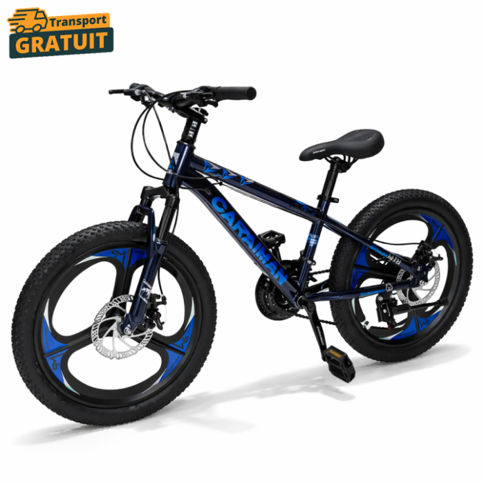 Bicicletă Caraiman, roți 20 inch, cadru oțel, frâne pe disc, cameleon [2]