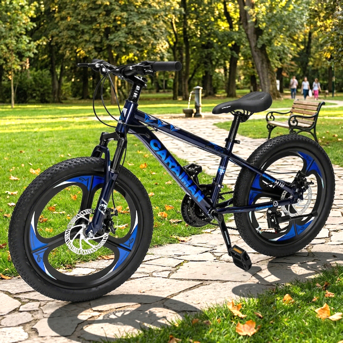 Bicicletă Caraiman, roți 20 inch, cadru oțel, frâne pe disc, cameleon [6]