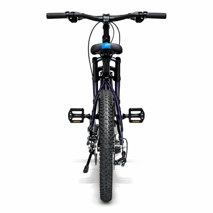 Bicicletă Caraiman, roți 20 inch, cadru oțel, frâne pe disc, cameleon [4]