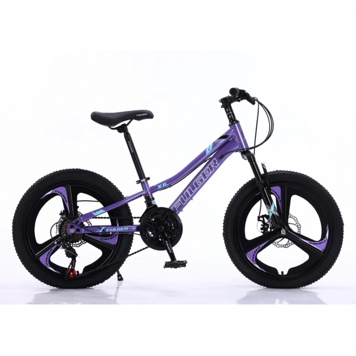 Bicicletă Fulger by Caraiman, roți 20 inch, cadru oțel, frâne pe disc, mov, BC04 [2]