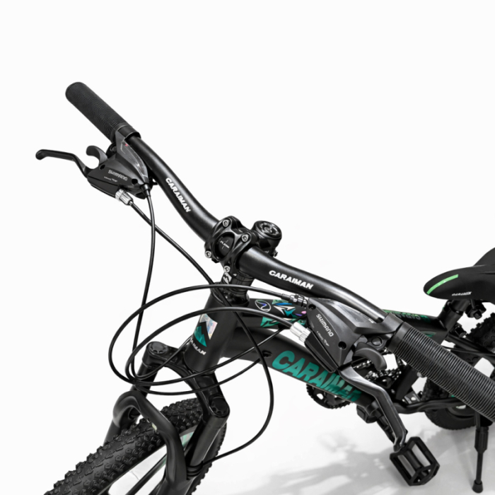 Bicicletă Caraiman, roți 20 inch, cadru oțel, frâne pe disc, negru cu verde [4]