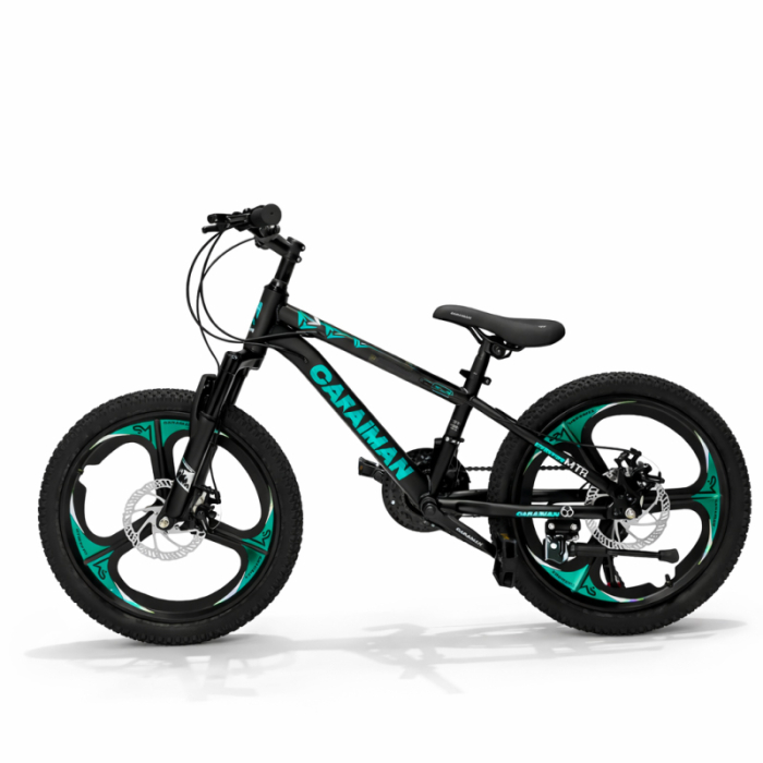 Bicicletă Caraiman, roți 20 inch, cadru oțel, frâne pe disc, negru cu verde [2]