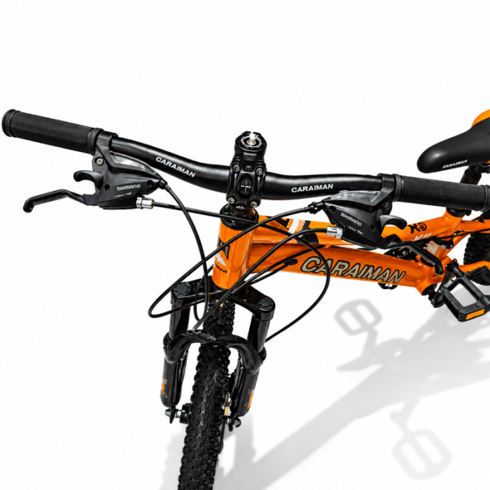 Bicicletă Caraiman, roți 20 inch, cadru oțel, frâne pe disc, portocaliu [6]