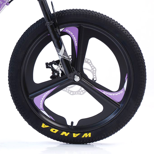 Bicicletă Fulger by Caraiman, roți 20 inch, cadru oțel, frâne pe disc, mov, BC04 [4]