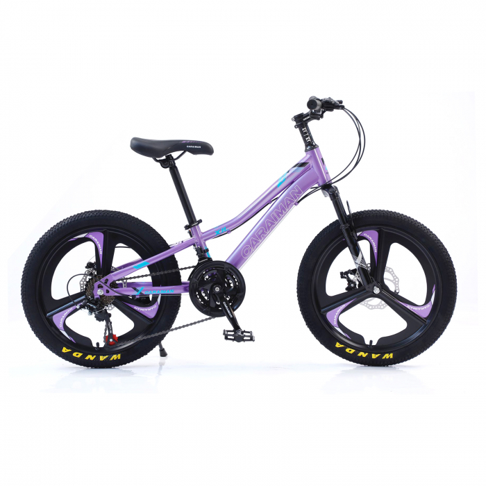 Bicicletă Caraiman, roți 20 inch, cadru oțel, frâne pe disc, mov [2]