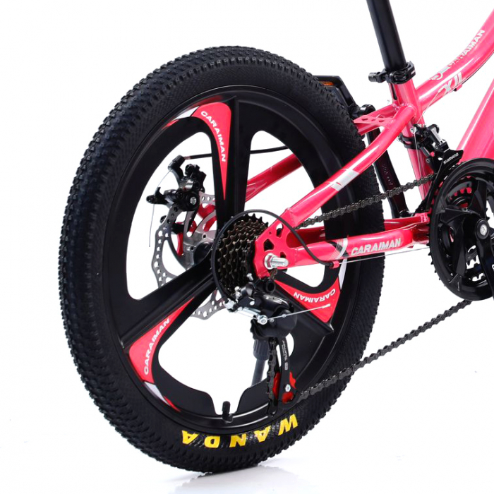 Bicicletă Fulger by Caraiman, roți 20 inch, cadru oțel, frâne pe disc, roz, BC01 [3]