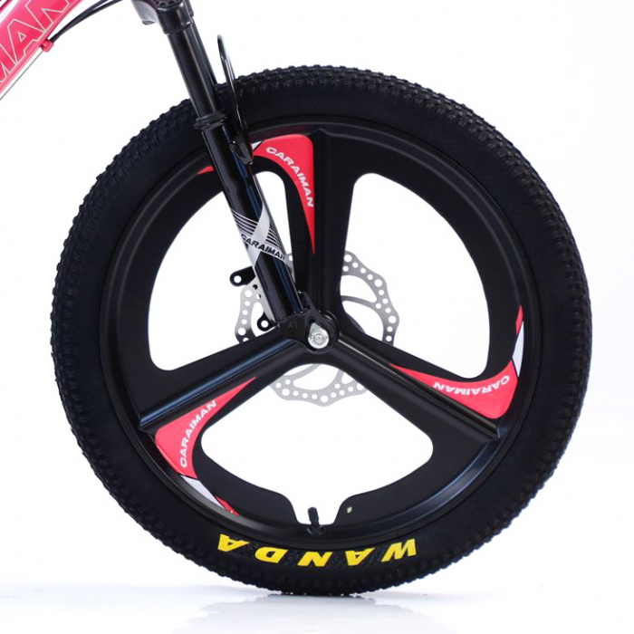 Bicicletă Fulger by Caraiman, roți 20 inch, cadru oțel, frâne pe disc, roz, BC01 [4]