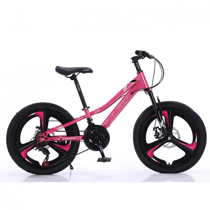 Bicicletă Fulger by Caraiman, roți 20 inch, cadru oțel, frâne pe disc, roz, BC01 [2]