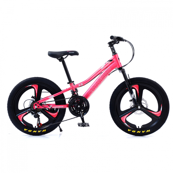 Bicicletă Caraiman, roți 20 inch, cadru oțel, frâne pe disc, roz [3]