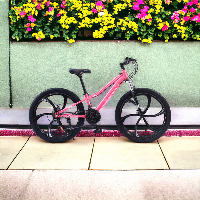 Bicicletă Caraiman, roți 24 sau 26 inch, cadru oțel, frâne pe disc, roz, BC25 [7]