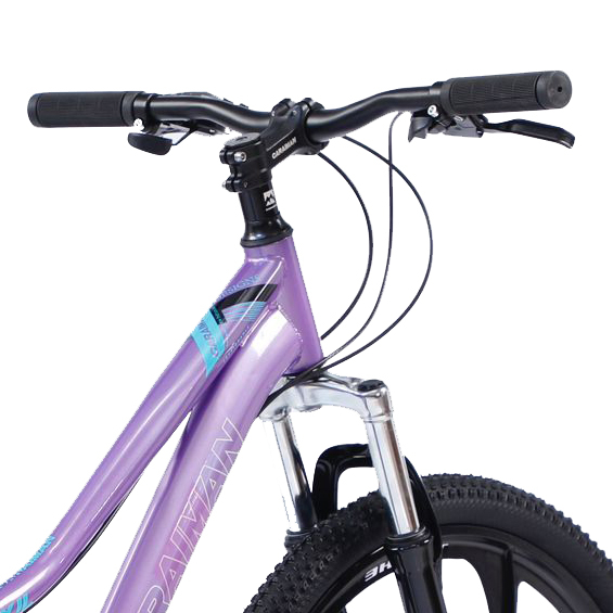 Bicicletă Caraiman, roți 26 inch, cadru oțel, frâne pe disc, mov, BC59 [5]