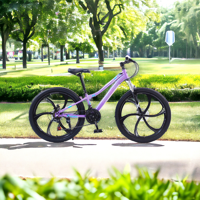 Bicicletă Caraiman, roți 26 inch, cadru oțel, frâne pe disc, mov, BC59 [6]