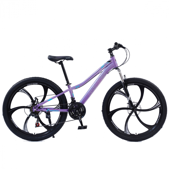 Bicicletă Caraiman, roți 26 inch, cadru oțel, frâne pe disc, mov, BC59 [2]