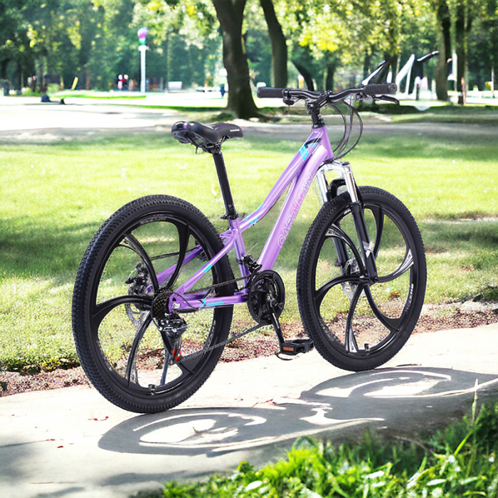 Bicicletă Caraiman, roți 26 inch, cadru oțel, frâne pe disc, mov, BC59 [7]