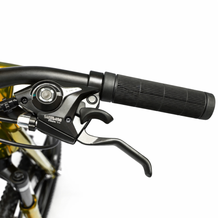 Bicicletă Caraiman, roți 26 inch, cadru oțel, frâne pe disc, aurie, BC124 [5]