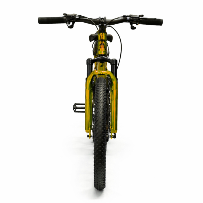 Bicicletă Caraiman, roți 26 inch, cadru oțel, frâne pe disc, aurie, BC124 [6]