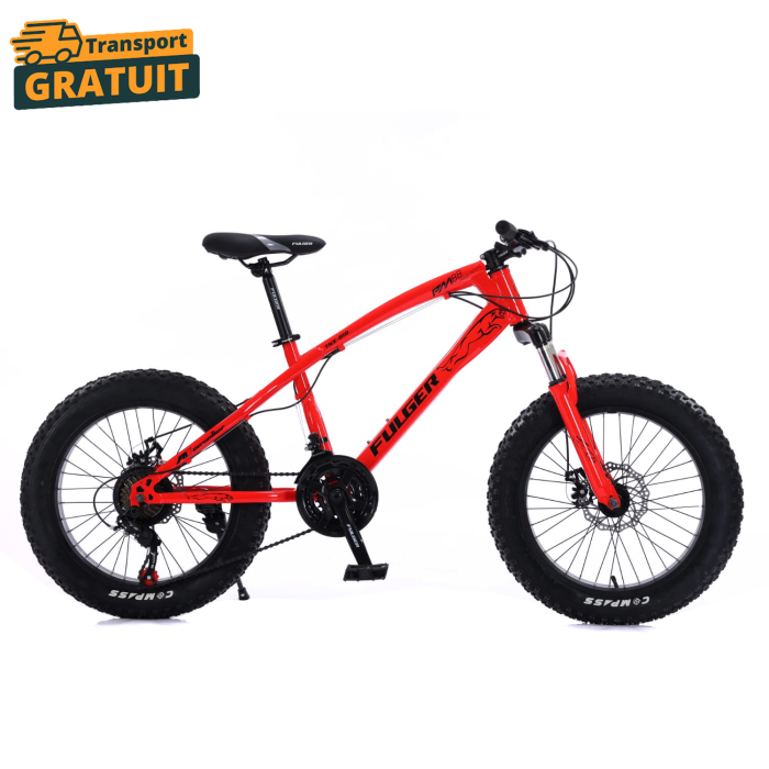 Bicicletă FatBike Fulger by Caraiman, roți 20 inch, cauciucuri groase, frâne pe disc, roșie [2]