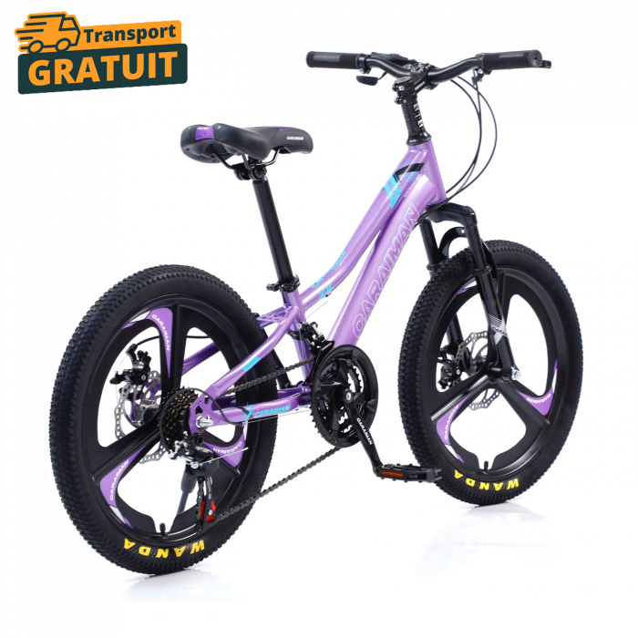 Bicicletă Fulger by Caraiman, roți 20 inch, cadru oțel, frâne pe disc, mov, BC04 [1]