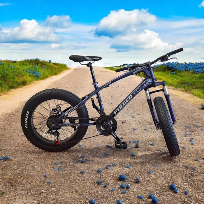 Bicicletă FatBike Fulger by Caraiman, roți 20 inch, cauciucuri groase, frâne pe disc, cameleon, BC51 [5]