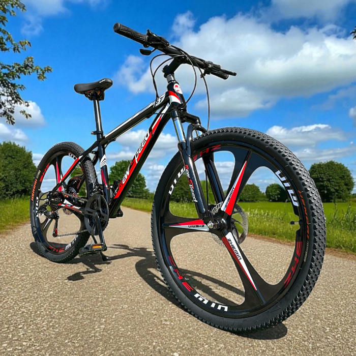 Bicicletă MTB New Speed, roți 24 sau 26 inch, 21 viteze, cadru oțel, frâne pe disc, NS53 [8]