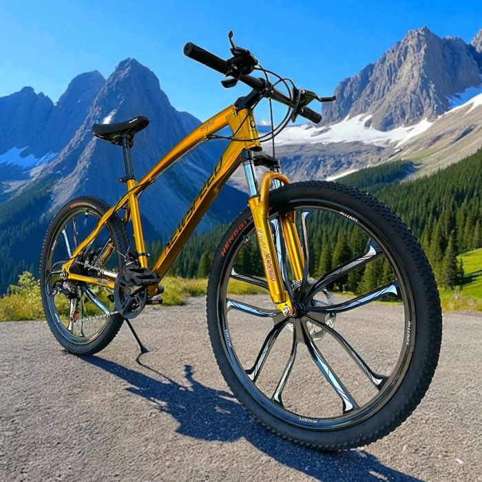 Bicicletă MTB New Speed, roți 24 sau 26 inch, 21 viteze, cadru oțel, frâne pe disc, NS59 [8]
